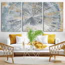 Radiant Abstract Wood Rings Canvas Art – Modern Triptych