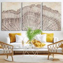 Tree Ring Wall Art Triptych, Rustic Wood Ring Canvas Print,