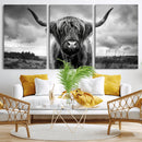 Scottish Cow Wall Art Canvas Print | Longhorn Wall Art |