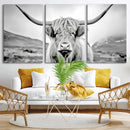 Scottish Cow Wall Art Canvas Print