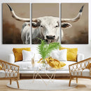 White Longhorn Bull Wall Art Canvas Print – Framed and Ready