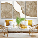 Rustic Brown Tree Ring Wall Art Canvas Print – Framed and