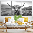 Black White Scottish Highland Cow Canvas Farm Wall Art