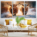 Scottish Highland Cow Horn Farm Wall Art Canvas Print