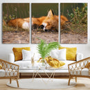 Sleeping Fox Wall Art Canvas Print, Farmhouse Wall Decor and