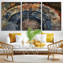 Framed Tree Ring Wall Art - Abstract Colorful Tree Ring Wall