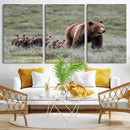 Wildlife Photography of 399 Grizzly Bear Cubs | Queen of the