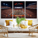 Texas Stadium Night Game Wall Art Canvas Print – Vibrant