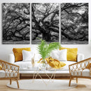Black and White Old Angel Oak Tree Wall Art Canvas Print