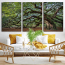 Historic Tree Wall Art – Framed Mossy Branch Canvas Artwork, by MyGreatCanvas | Canvas Wall Art Prints | Photo Prints & Wall Decor