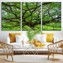 Angel Oak Tree Wall Art Canvas Print – Framed Majestic