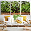 Majestic Oak Tree Wall Art Canvas Print – Ancient Branches by MyGreatCanvas | Canvas Wall Art Prints | Photo Prints & Wall Decor
