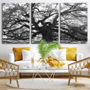 Ancient Oak Wall Art Canvas Print – Gnarled Tree Twisted by MyGreatCanvas | Canvas Wall Art Prints | Photo Prints & Wall Decor