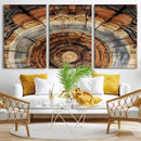 Tree Rings Wall Art Canvas Print – Rustic Wood Texture