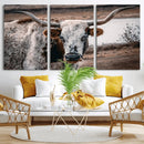 Texas Longhorn Wall Art Canvas Print – Framed Spotted Bull