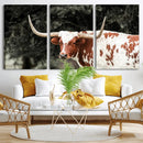 Texas Longhorn Wall Art Canvas Print – Framed Spotted Bull