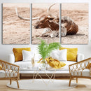Texas Longhorn Wall Art – Framed Resting Bull Canvas by MyGreatCanvas | Canvas Wall Art Prints | Photo Prints & Wall Decor