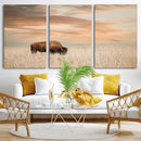 MyCanvas -