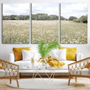 Charming Daisy Field Wall Art Canvas Print – Framed Pastel