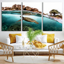 Sea Turtle Wall Art Canvas Print – Framed Ocean Life