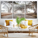 Cypress Tunnel Wall Art – Framed Misty Road Canvas Artwork, by MyGreatCanvas | Canvas Wall Art Prints | Photo Prints & Wall Decor