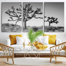 Joshua Tree Wall Art Canvas Print – Framed Monochrome Desert