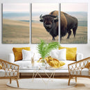 Bison Wall Art Canvas Print – Framed Buffalo American Bison