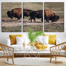 Bison Wall Art Canvas Print – Framed Western Wildlife Modern by MyGreatCanvas | Canvas Wall Art Prints | Photo Prints & Wall Decor