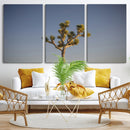 Joshua Tree Wall Art Canvas Print – Framed Southwestern