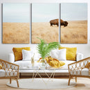 Buffalo Wall Art Canvas Print – Framed Western Wildlife