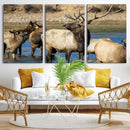 Wild Elk Wall Art Canvas Print – Framed Neutral Wildlife