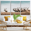 Elk Herd Wall Art Canvas Print – Framed Wildlife Photography