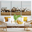 Elk Herd Wall Art Canvas Print – Framed Wildlife Photography