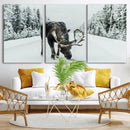 Moose Snow Wall Art Canvas Print – Framed Winter Wildlife