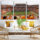 Tennessee Neyland Stadium Wall Art, Sports Arena Canvas by MyGreatCanvas | Canvas Wall Art Prints | Photo Prints & Wall Decor