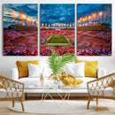 Tennessee Neyland Stadium Wall Art, Sports Arena Canvas by MyGreatCanvas | Canvas Wall Art Prints | Photo Prints & Wall Decor