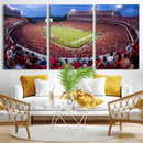 Dooley Stadium Wall Art, Sports Arena Canvas Print, Dooley by MyGreatCanvas | Canvas Wall Art Prints | Photo Prints & Wall Decor