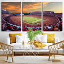 Dooley Stadium Wall Art, Sports Arena Canvas Print, Dooley