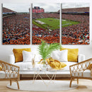 Jordan-Hare Stadium Wall Art Canvas Print, College Sports by MyGreatCanvas | Canvas Wall Art Prints | Photo Prints & Wall Decor