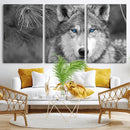Wild Wolf Blue Eye Wall Art Canvas Print