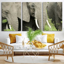Wild Elephant Wall Art Canvas Print by MyGreatCanvas | Canvas Wall Art Prints | Photo Prints & Wall Decor