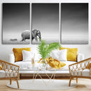Elephand and Zebra Wall Art Canvas Print, Modern Artwork