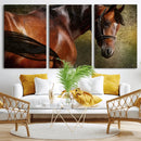 Majestic Brown Horse Wall Art Canvas Print – Framed