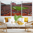 Auburn Stadium Wall Art Canvas Print, Jordan Hare Stadium