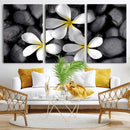 Plumeria Frangipani Black Stone Canvas | White Flower Spa by MyGreatCanvas | Canvas Wall Art Prints | Photo Prints & Wall Decor
