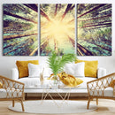 Tree and Sunshine Canvas Print