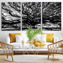Mighty Angel Oak Wall Art | Angel Oak Tree Art Print by MyGreatCanvas | Canvas Wall Art Prints | Photo Prints & Wall Decor