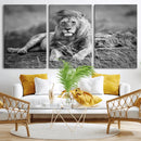 King Forest Lion Wall Art Canvas Print – Framed Majestic by MyGreatCanvas | Canvas Wall Art Prints | Photo Prints & Wall Decor