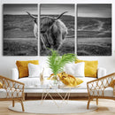 Fluffy Cattle Wall Art Print, Highland Cow Canvas, Framed by MyGreatCanvas | Canvas Wall Art Prints | Photo Prints & Wall Decor