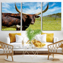 Longhorn and Cow Wall Art, Country Cow Wall Decor Canvas by MyGreatCanvas | Canvas Wall Art Prints | Photo Prints & Wall Decor